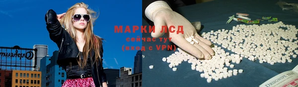 прущие крисы Бородино