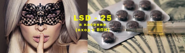 прущие крисы Бородино