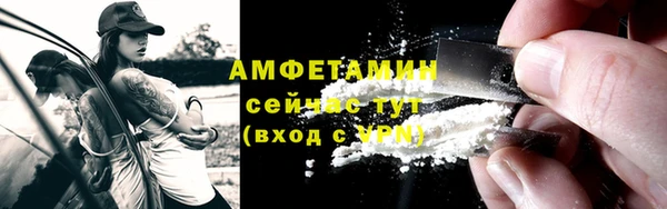 прущие крисы Бородино