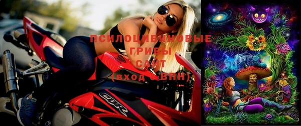 дмт Бронницы