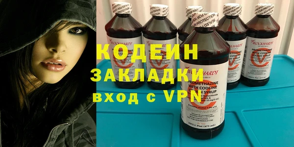 прущие крисы Бородино