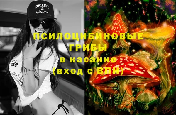 дмт Бронницы